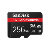 SanDisk microSD Express card (256GB)