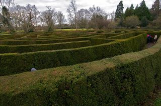 Maze at Madresfield Court