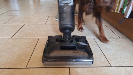 Person using Roborock F25 Ace Combo mop in a home with dogs running around