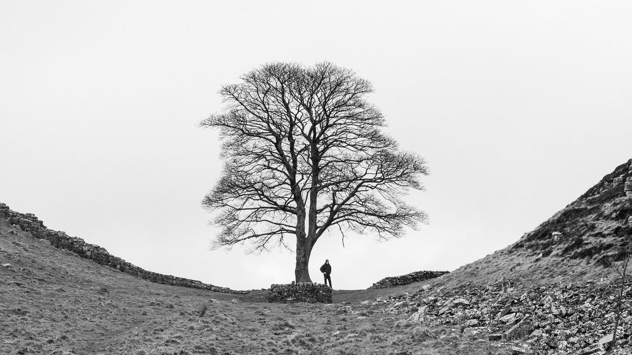 How to bring two shots together to create a surreal image in Photoshop