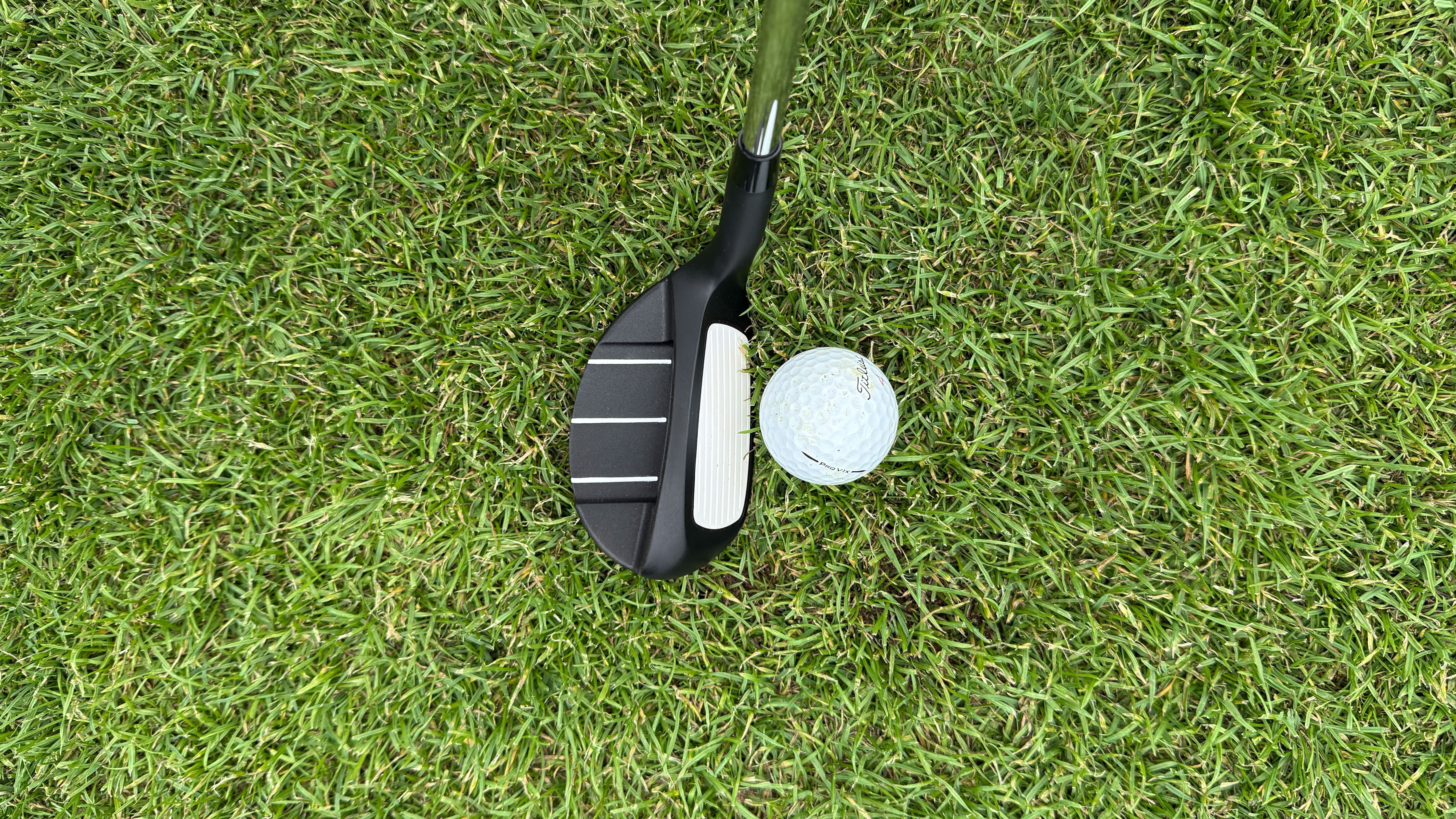 The Odyssey Chipper at address