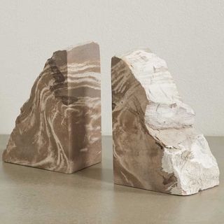 petrified bookends