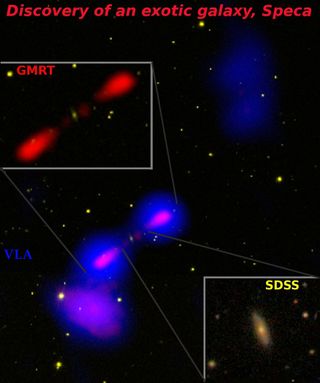 This composite of the odd galaxy Speca about 1.7 billion light-years from Earth reveals the three pairs of lobes, as well as the parent galaxy. The diffuse purple blobs on the outer edges were reactivated by collisions with particles in space. The middle lobes dominate, but peering closely reveals the smaller set.