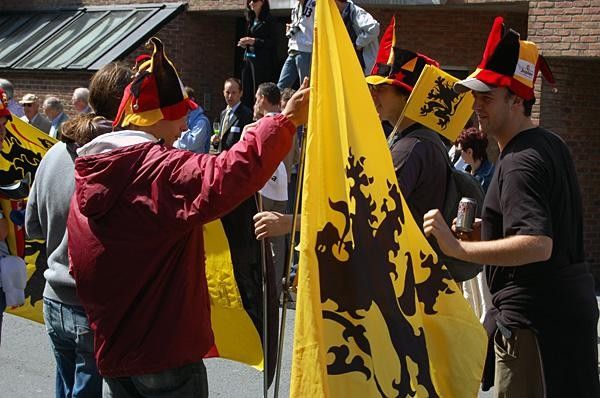 The "Lion of Flanders" is everywhere, of course. It's the official flag for the province.