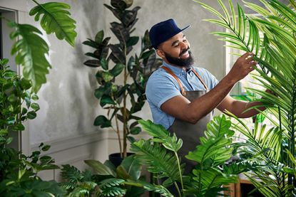 A man in a room full of houseplants