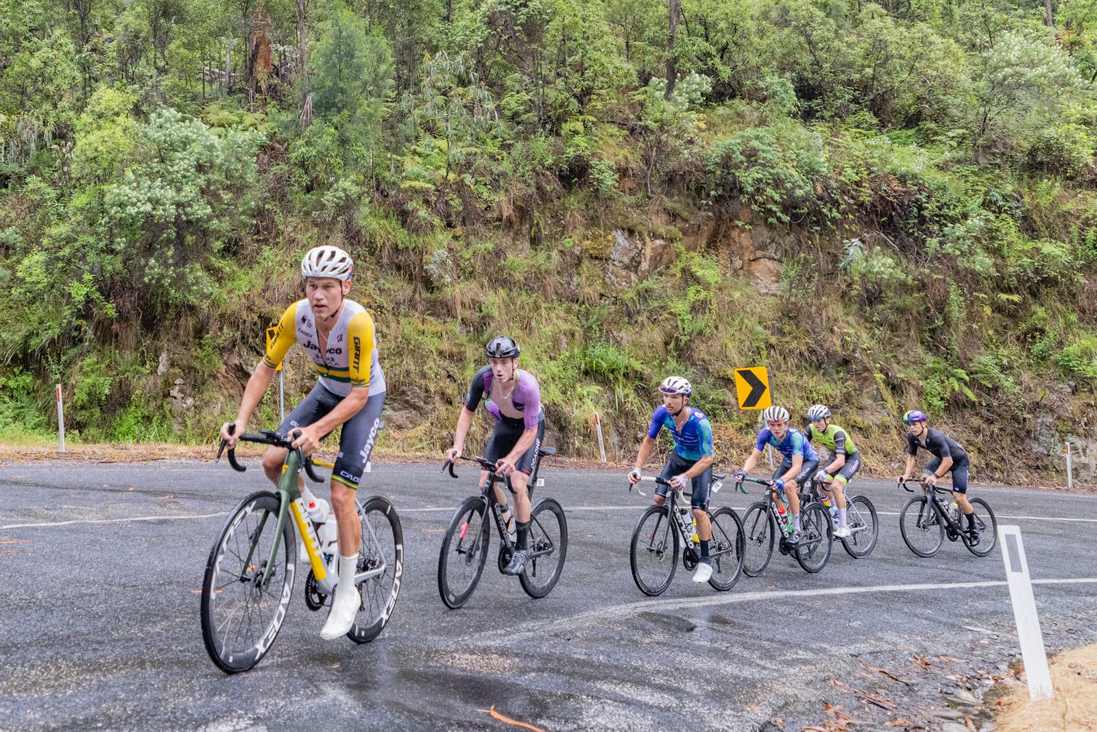 Men's A on stage 1 of the 2024 Tour of Bright