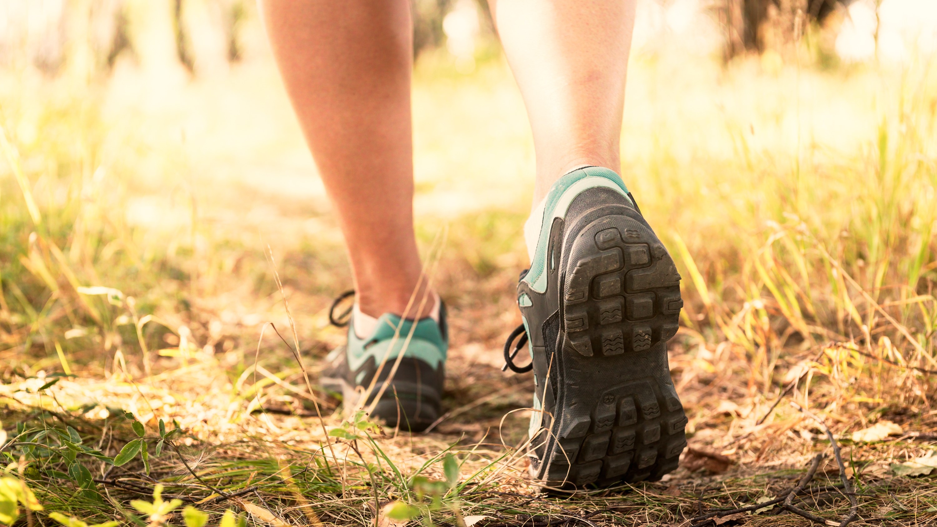 Woman wearing running shoes in forest