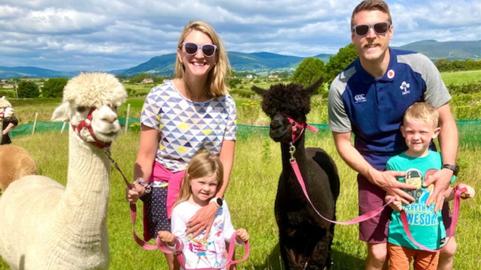 A family walking alpacas