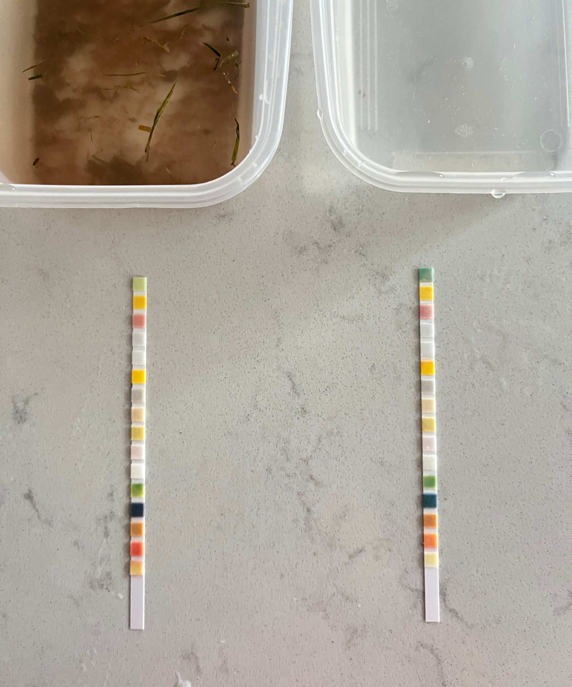 water testing strips post testing placed next to tubs of clean and dirty water