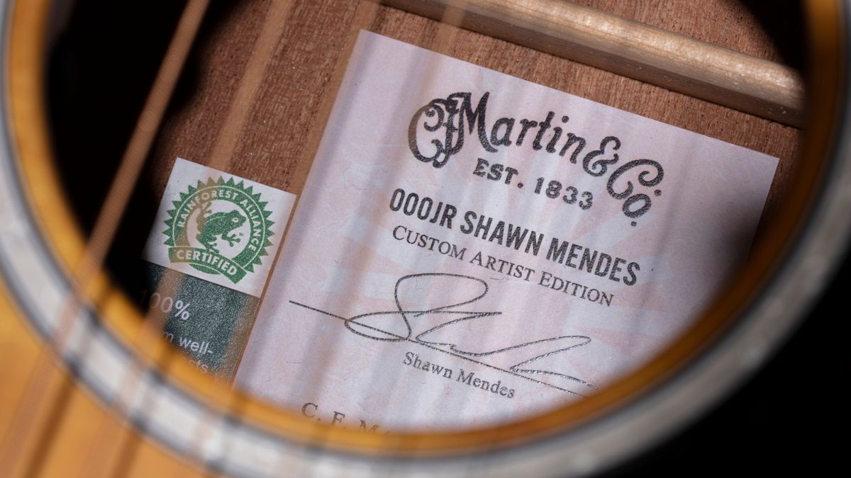 Martin 000JR-10E Shawn Mendes Custom Artist Edition