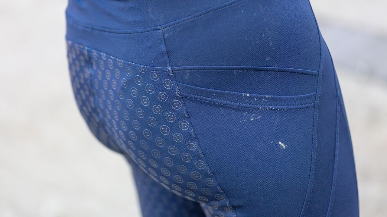 Dublin Performance Thermal Active tights review