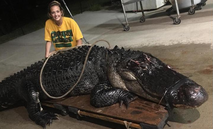 Vaughan photographed his daughter posing with the heavy reptile.