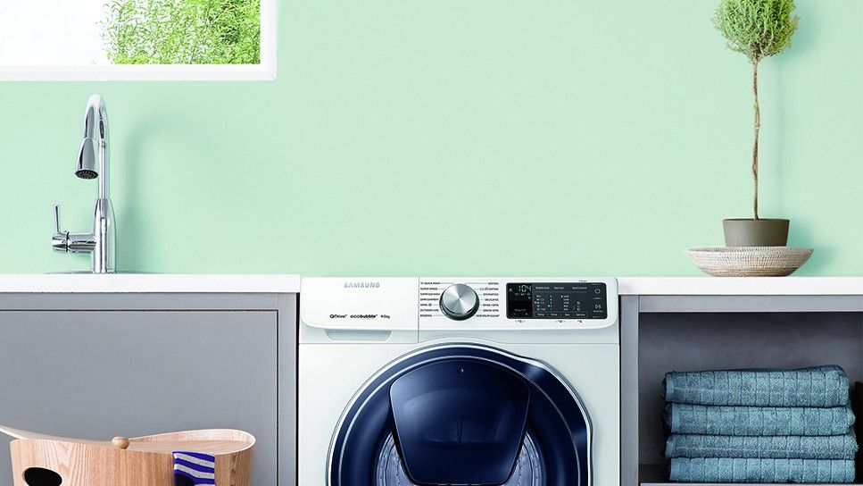 cream wall with washing machine and plant on pot