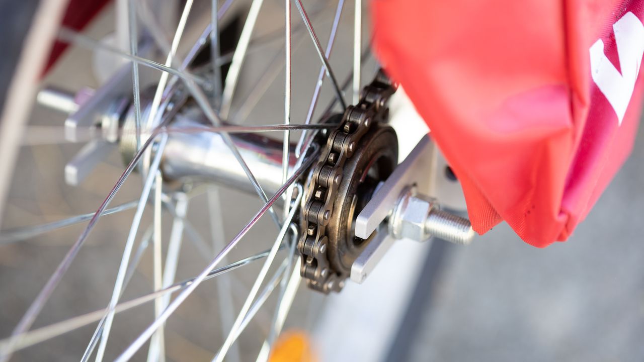Weehoo Bike trailer detail of single speed freehub