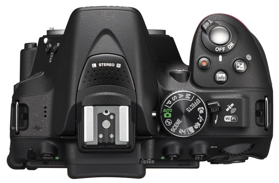 Nikon D5300 vs D5600 Which camera should you buy? Digital Camera World