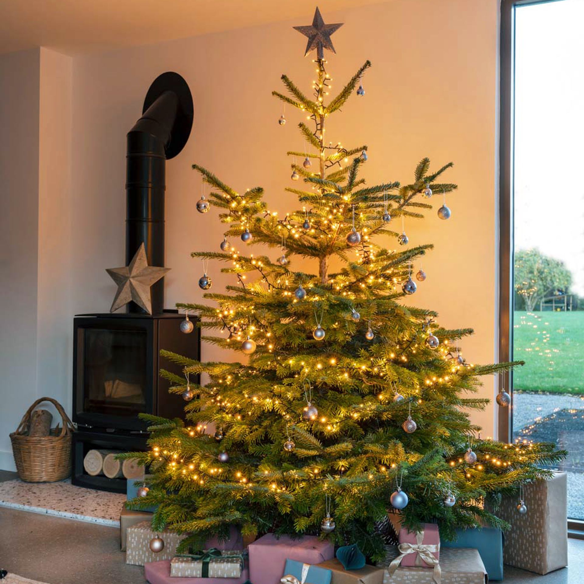 Lemonade for Christmas tree hack that will help your fir thrive Ideal