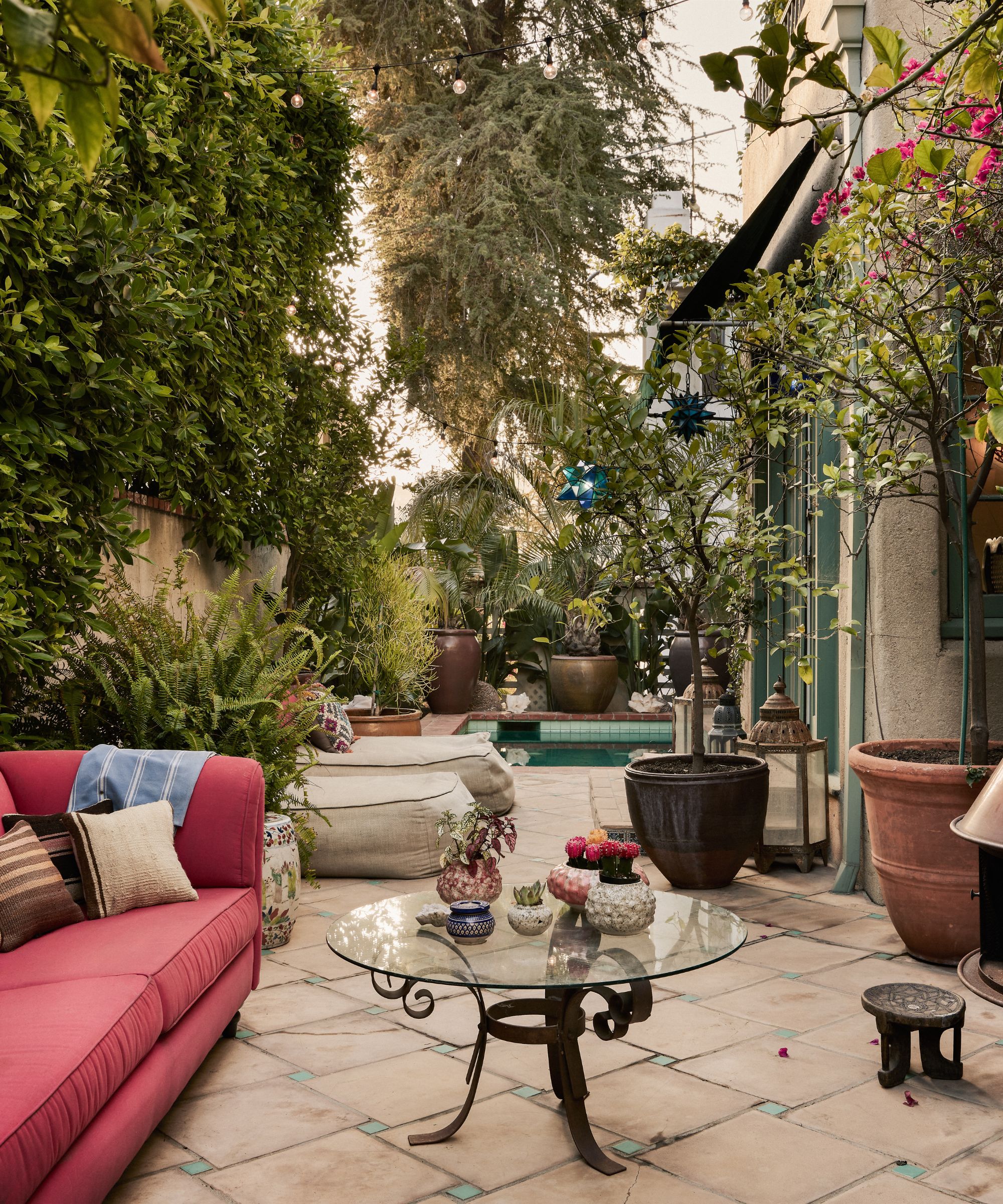 Gia Coppola's backyard