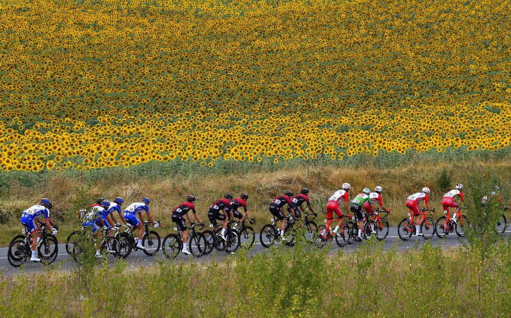CAP DCOUVERTE FRANCE AUGUST 02 Tobias Ludvigsson of Sweden and Team Groupama FDJ Jonathan Castroviejo of Spain and Team Ineos Matthieu Ladagnous of France and Team Groupama FDJ Tao Geoghegan Hart of The United Kingdom and Team Ineos Pavel Sivakov of Russia and Team Ineos Christopher Froome of The United Kingdom and Team Ineos Andrey Amador Bikkazakova of Costa Rica and Team Ineos Elia Viviani of Italy and Team Cofidis Green Points Jersey Marco Mathis of Germany and Team Cofidis Kenneth Vanbilsen of Belgium and Team Cofidis Sunflowers Peloton Landscape during the 44th La Route dOccitanie La Depeche du Midi 2020 Stage 2 a 1745km stage from Carcassonne to Cap Dcouverte 344m RouteOccitanie RDO2020 on August 02 2020 in Cap Dcouverte France Photo by Justin SetterfieldGetty Images