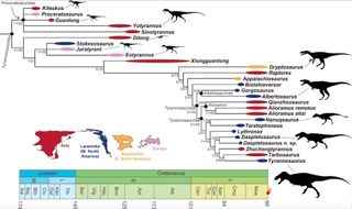 A family tree showing 28 species in the tyrannosaur family tree, including approximately when and where they lived.
