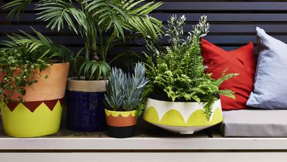 4 Clever Tricks to Fill Large Planters, Cost-Effective Alternatives