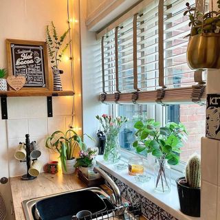 White kitchen with window and plants
