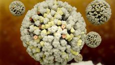 3D-rendering of an influenza virus.