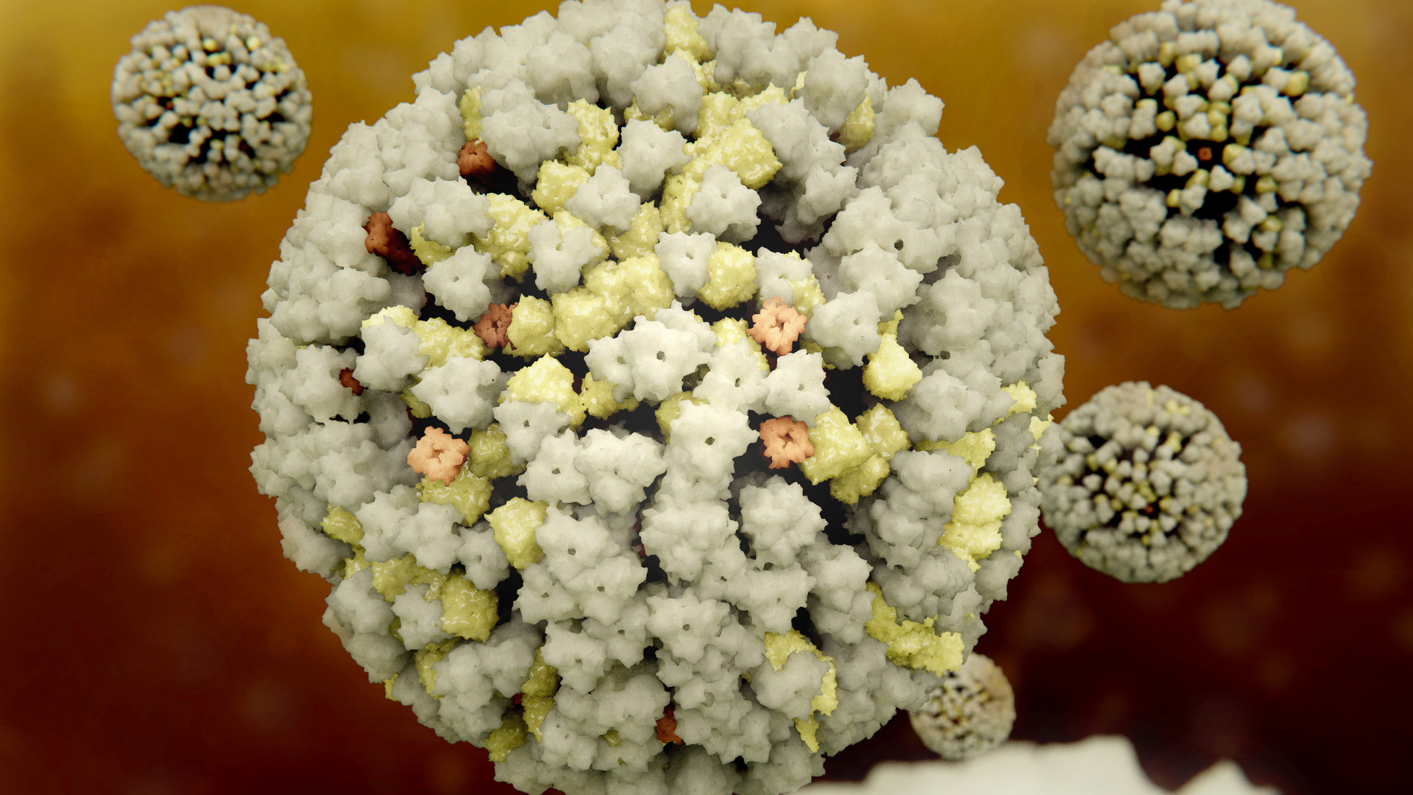 3D-rendering of an influenza virus.