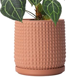 Amazon terracotta beaded pot