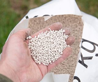 A handful of lawn fertilizer in granular form from inside an open bag