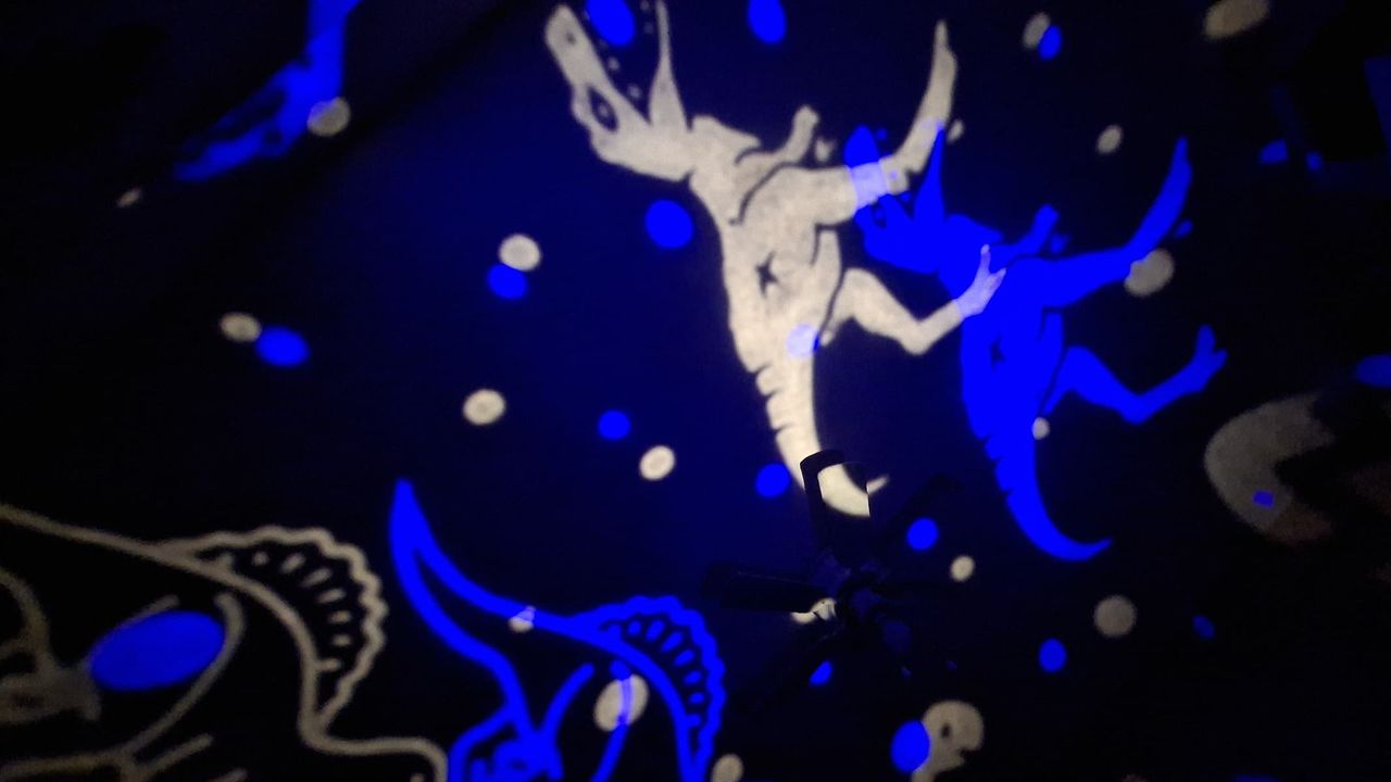 Projections of some blue and white dinosaurs from the One Fire Star Projector.