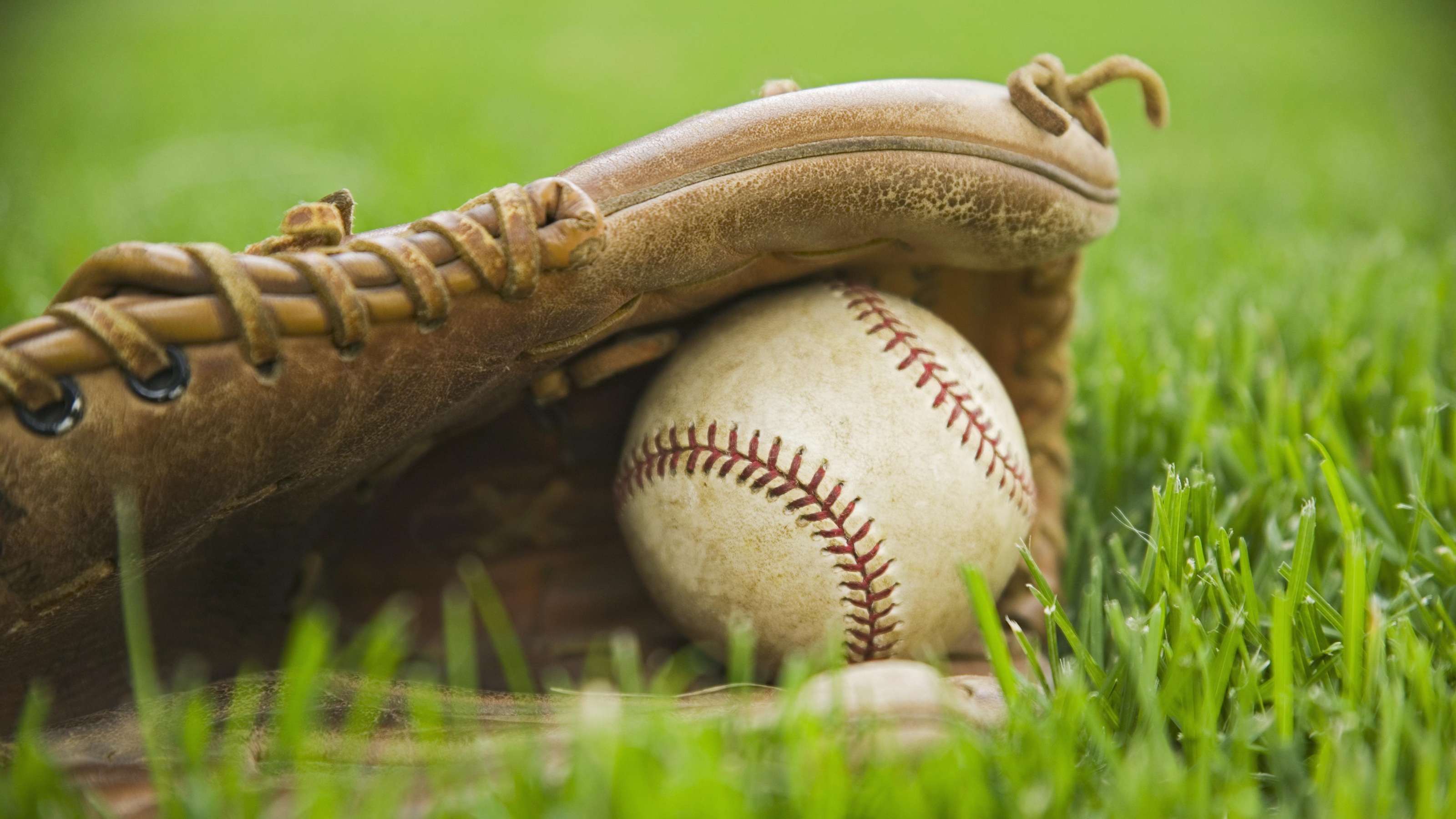 A baseball mitt and baseball sitting on green grass.