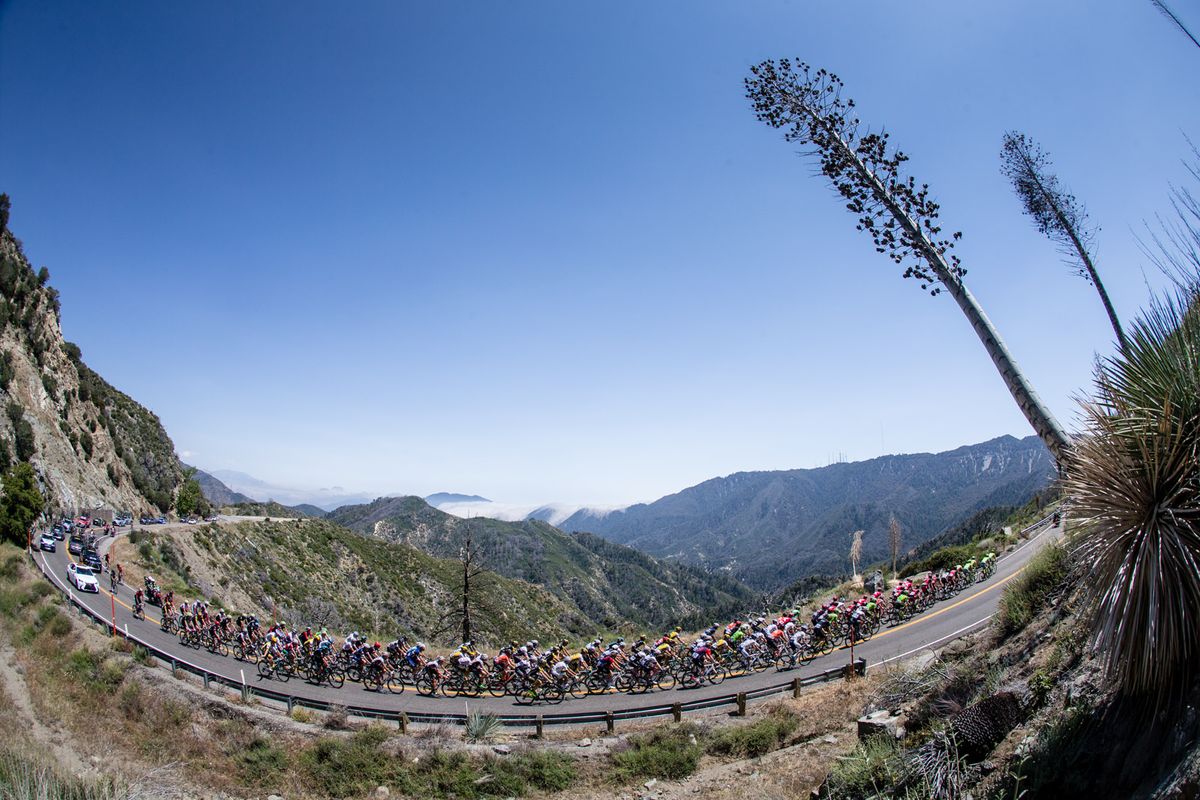 The peloton gets strung out over the Angeles Crest during todays stage