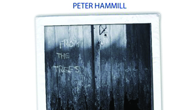 Cover art for Peter Hammill - From The Trees album