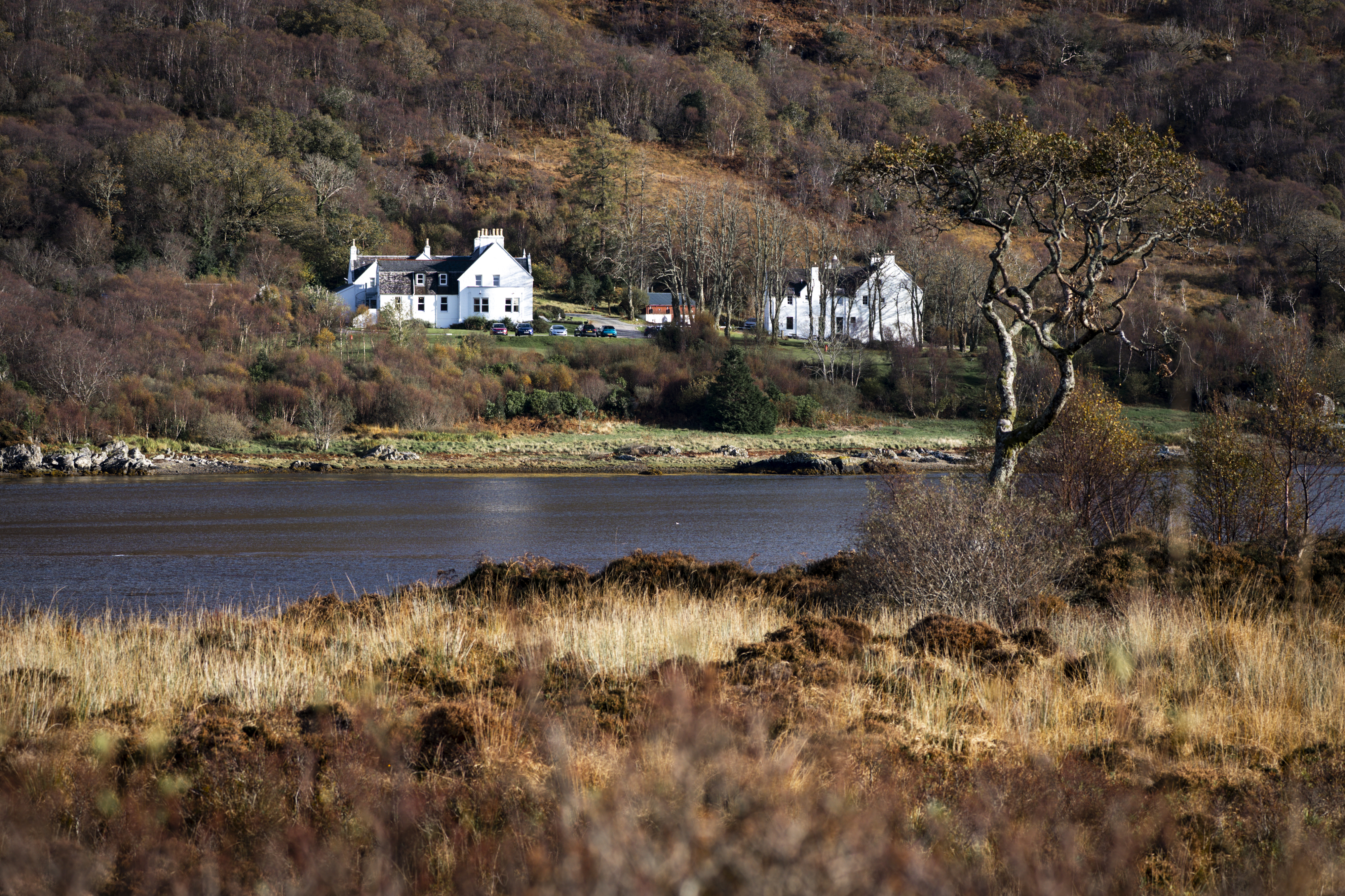 Images of Kinloch Lodge