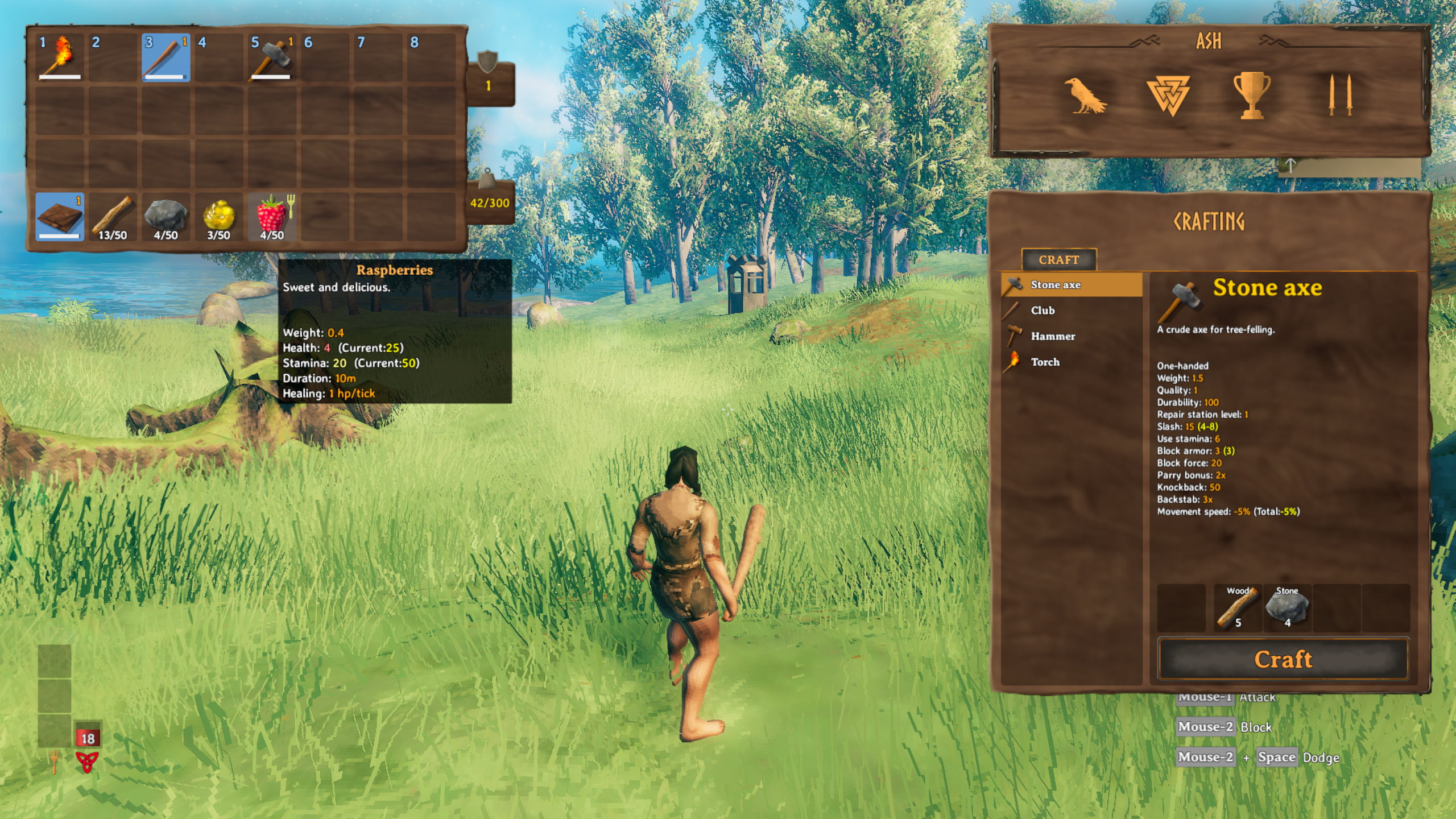 Valheim inventory shows the tooltip for raspberries