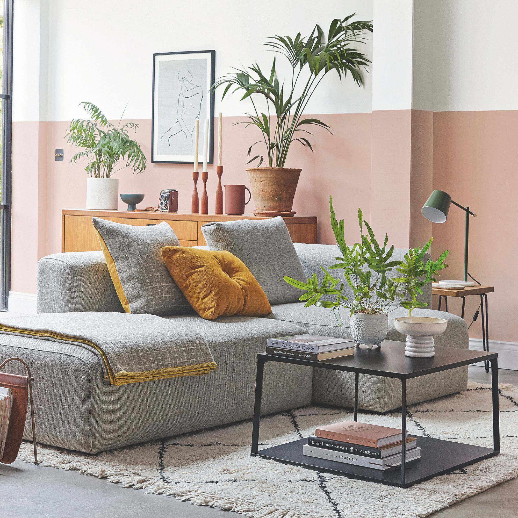 houseplants in living room