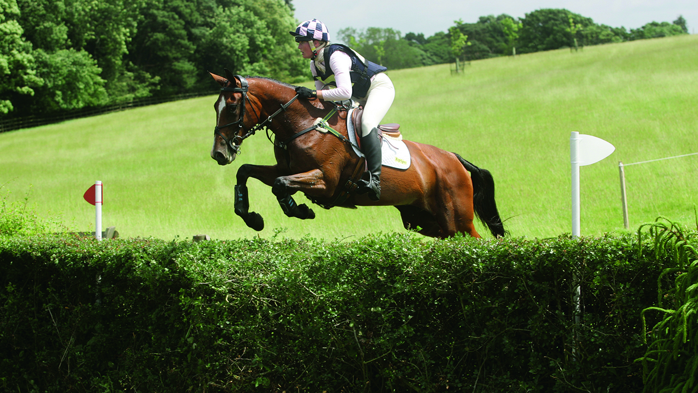 On Cue&amp;rsquo;s dam On High competing at Rolleston in 2008 with Jolyse Clancey
