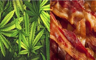 pot, marijuana, bacon