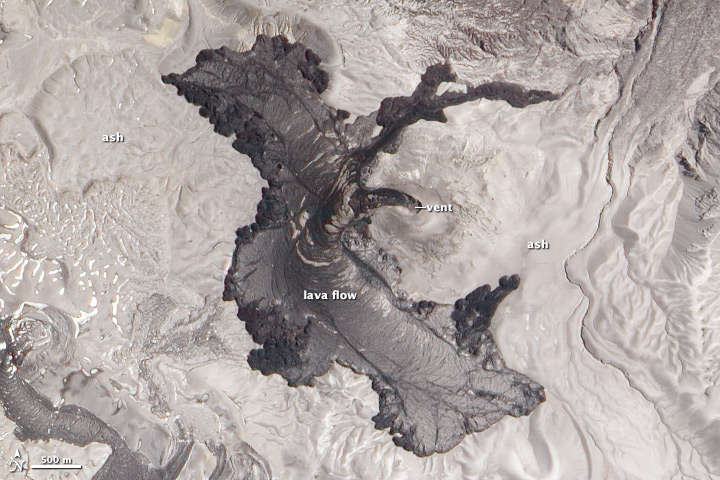 Puyehue Cord