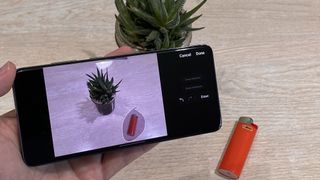 Samsung Object eraser removing an unwanted lighted from a picture of a plant.