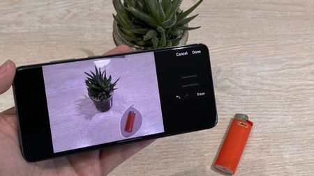 Samsung Object eraser removing an unwanted lighted from a picture of a plant.