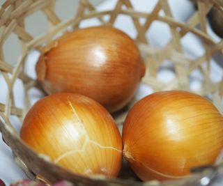 Three brown onions in a bowl