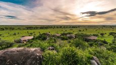 Lemala Nanyukie Lodge in the Serengeti national park