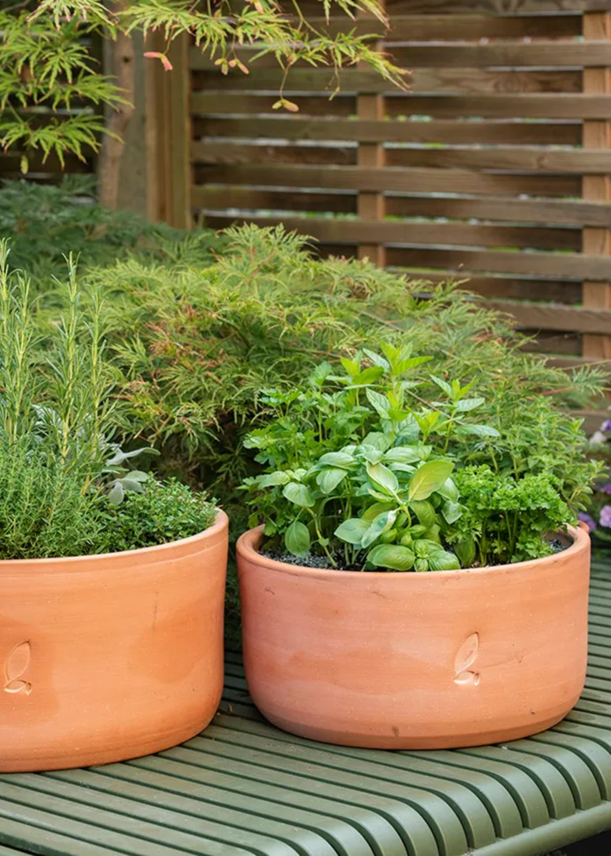 A set of two terracotta planters with herbs on a green metal table