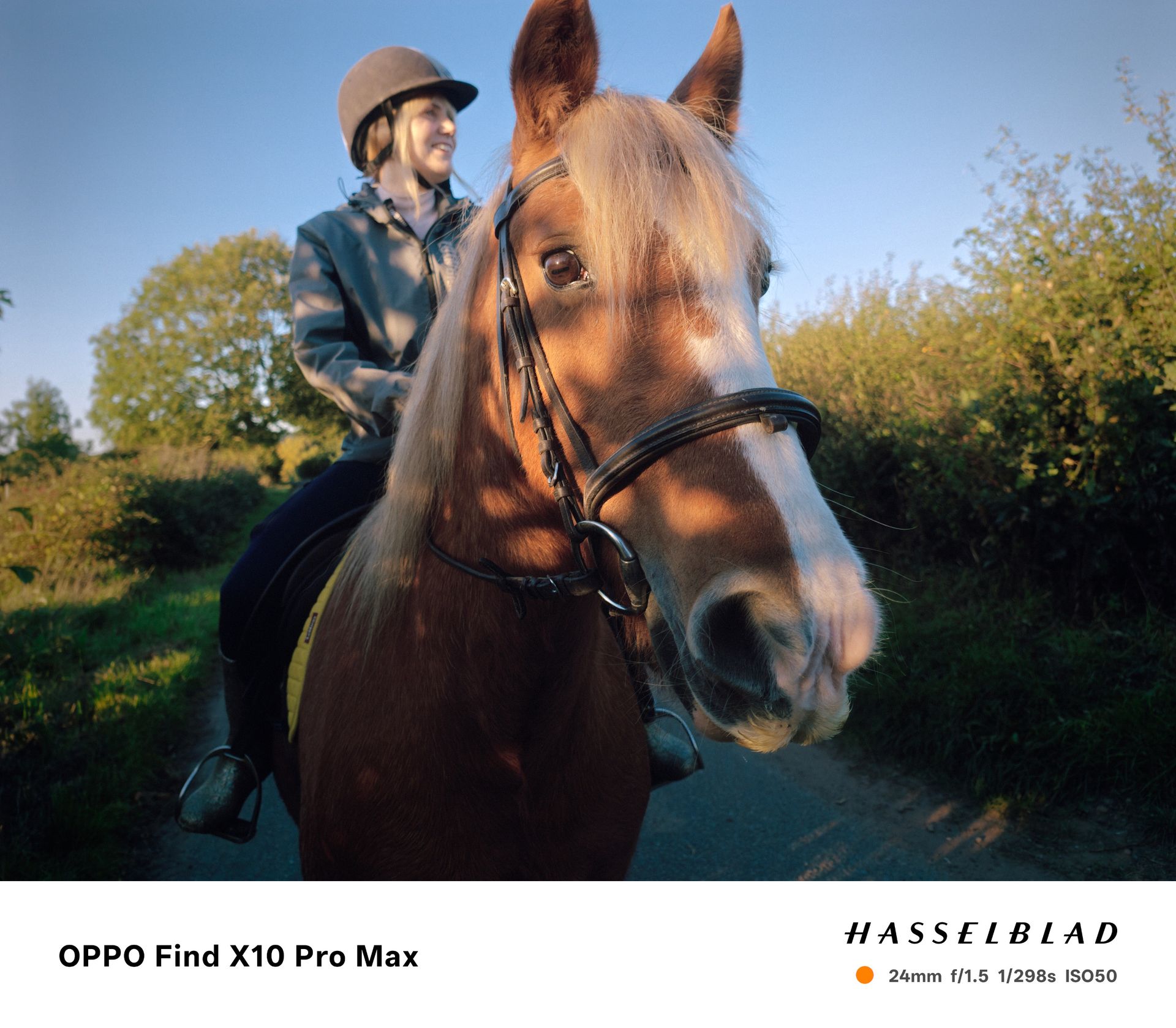 Oppo Find X10 Pro Max sample photo