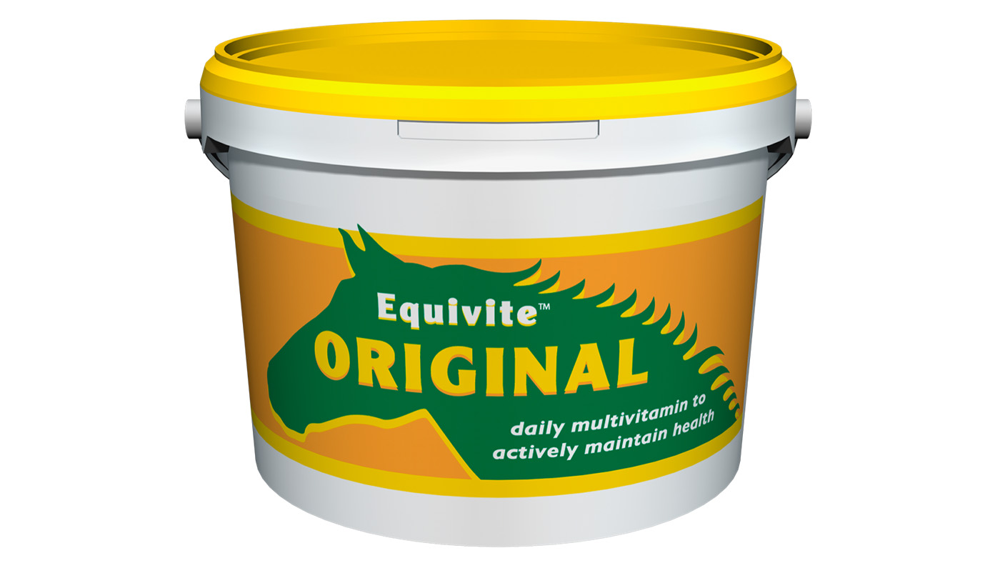 Equivite Original vitamin and mineral supplement
