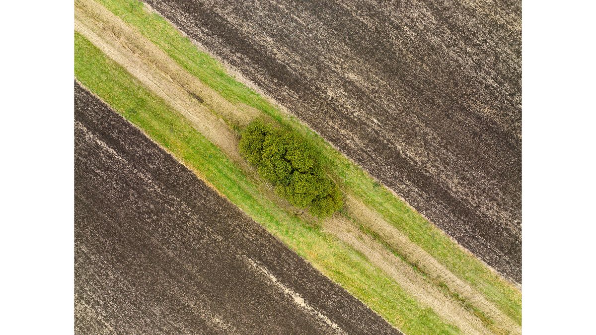Example image taken with DJI Mavic 3