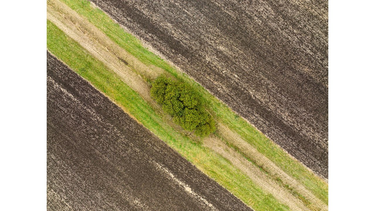 Example image taken with DJI Mavic 3