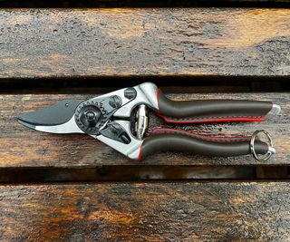 Felco 6 Elite Pruners on a table