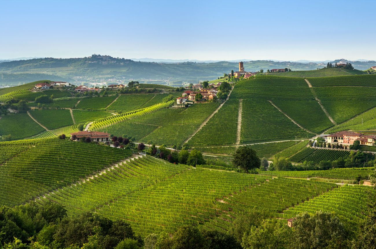 Barbaresco 2020: Vintage report & 50 wines tasted | Decanter